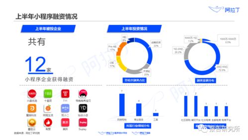 2020年上半年小程序互联网发展白皮书 